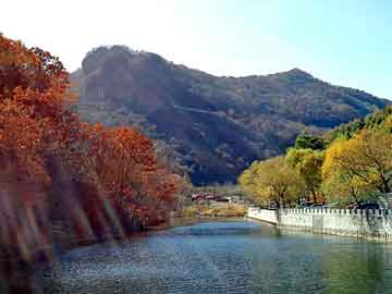 正版澳门天天开彩大全，栾川黑帽seo